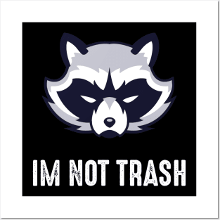 Save the Trash Pandas Raccoon Animal Posters and Art